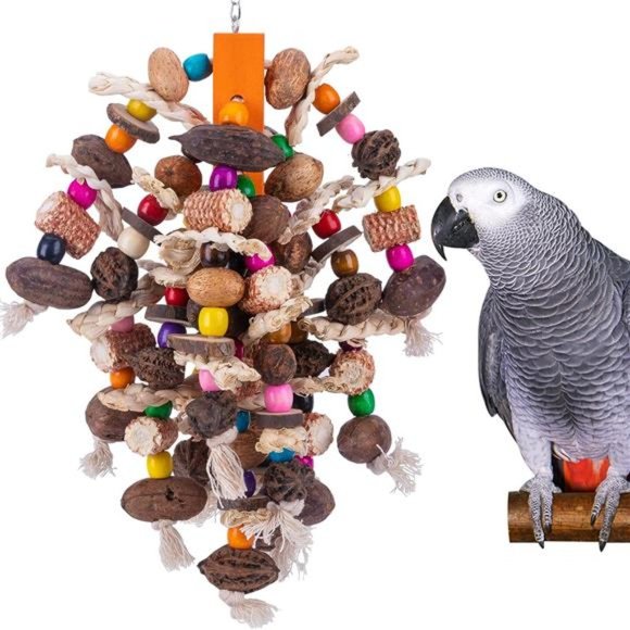 Large Parrot Bird Chewing Toys-Natural Nuts Corn Parrot Tearing Toy-Wooden - Picture 1 of 6